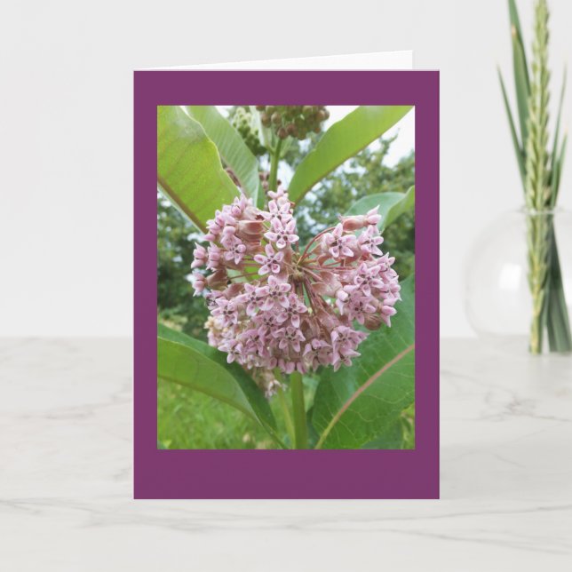 Cartão de nota vazio do Milkweed (Frente)