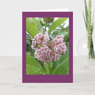 Cartão de nota vazio do Milkweed