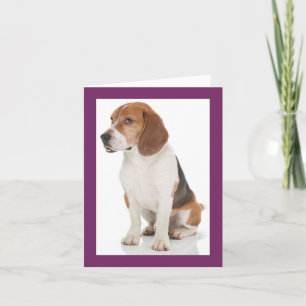 Cartão de Nota Violeta com Cachorrinho Beagle