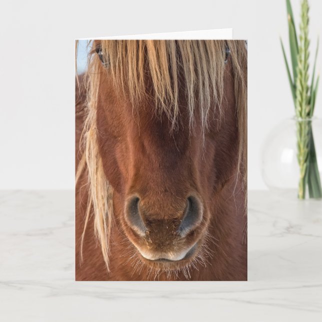 Cartão de Nota "Whiskers" (Frente)