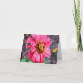 Cartão de Nota Zinnia - Fotografia Original