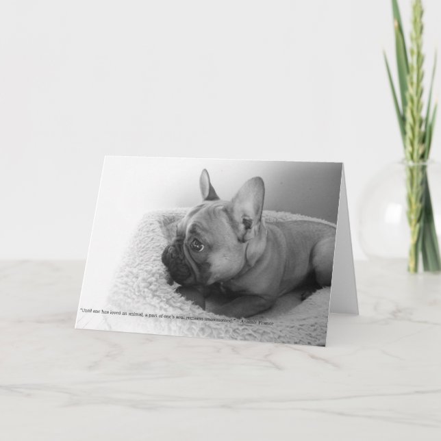 Cartão de Notas  (Frente)