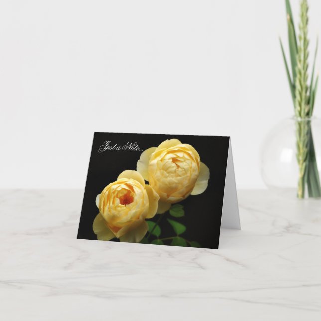 Cartão de Notas  (Frente)