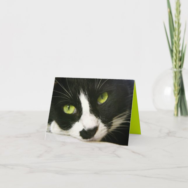 Cartão de Notas  (Frente)