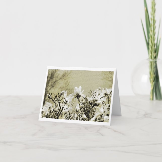 Cartão de Notas  (Frente)