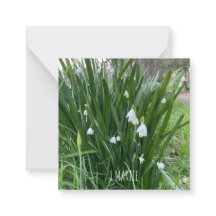 1Cartão de Nota Marcial