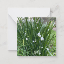 Cartão De Notas 1Cartão de Nota Marcial