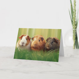 Cartão De Notas 3 Suínos guineenses na grama