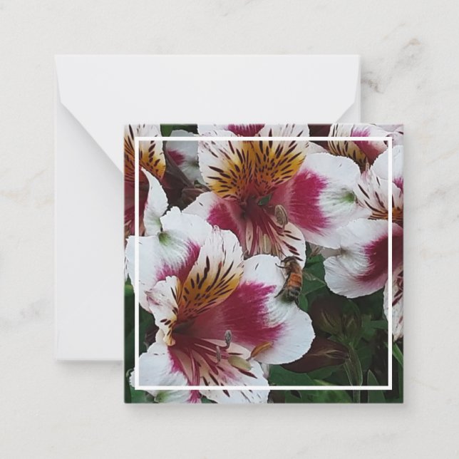 Cartão De Notas Abelhas de mel e Alstromerias (Frente)