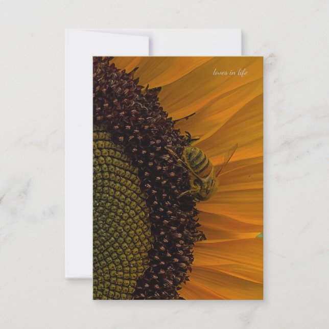 Cartão De Notas Abelhas e Girassol Aproximados (Frente)