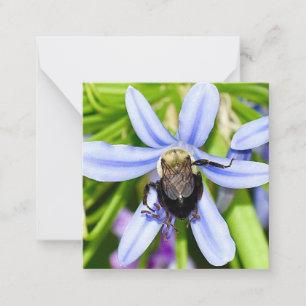 Cartão De Notas Abelhas personalizadas em miniplacas de flores