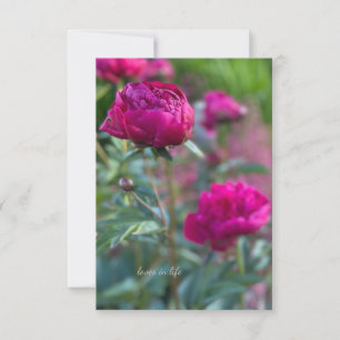 Cartão De Notas Adoráveis Peônias de Jardim Rosa Profundo