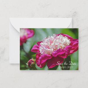 Cartão De Notas Algodão rosa Flor Botânica De Pedeno