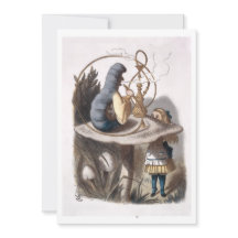 ALICE e Caterpillar - Aventuras em Wonderland