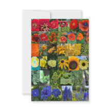 Arco-íris de Flores