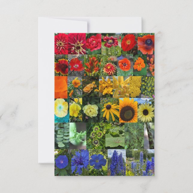 Cartão De Notas Arco-íris de Flores  (Frente)