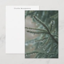 Árvore de abeto - nome personalizado de inverno sa