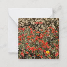 Cartão De Notas August Ablaze