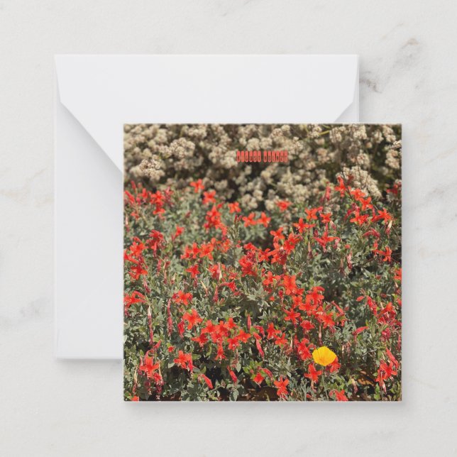 Cartão De Notas August Ablaze (Frente)