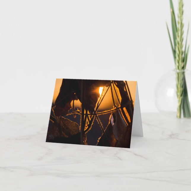 Cartão De Notas Aumento da neve (Frente)