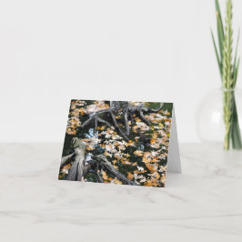 Cartão De Notas Autumn Otter Pond de Folhas