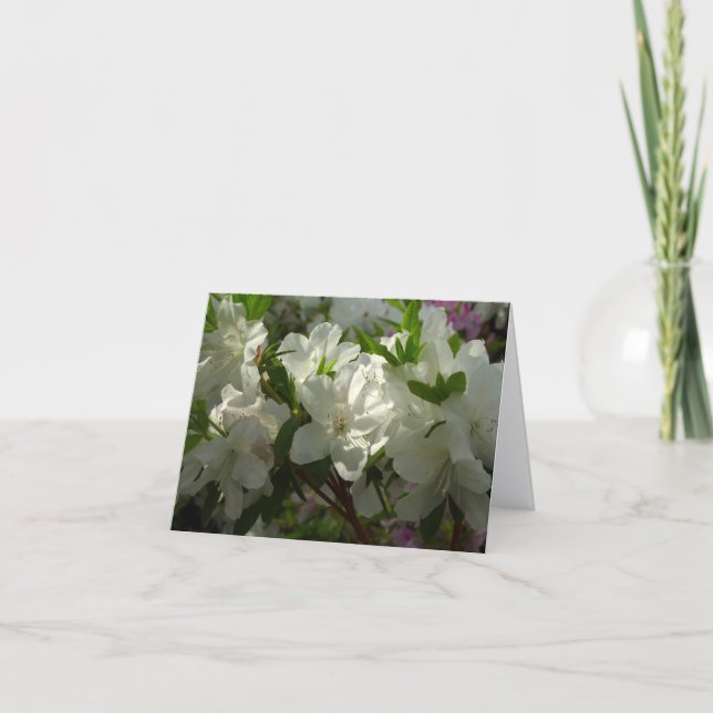 Cartão De Notas Azáleas Brancas Iluminadas Lindas Flores de Primav (Frente)