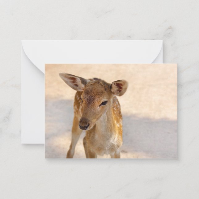 Cartão De Notas Baby Deer (Frente)