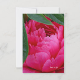 Cartão De Notas Bashful Pink Peony