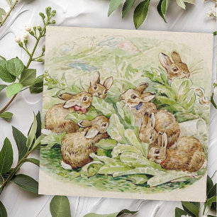 Cartão De Notas Beatrix Potter Tale dos Bunnies Inchados