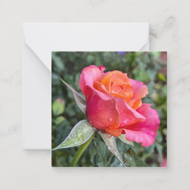 Cartão De Notas Bela (Frente)