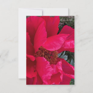 Cartão De Notas Big Bold Red Peony
