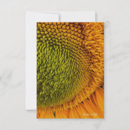 Cartão De Notas Big Green Center Sunflower