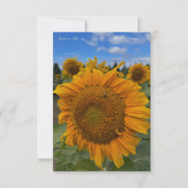 Cartão De Notas Big Sunflower & Blue Skies