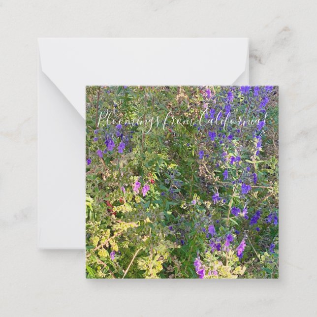Cartão De Notas Bloomias da Califórnia: Blue Curls (Frente)