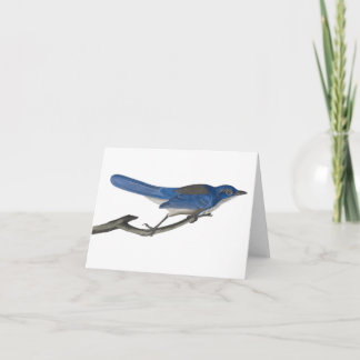 Cartão De Notas Bluebird Notecard
