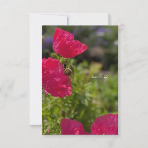 Cartão De Notas Bonito papagaios cor-de-rosa no jardim