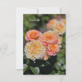 Cartão De Notas Bonito Rosas Amarelas e Rosa