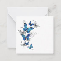 Borboletas Azuis Morpho