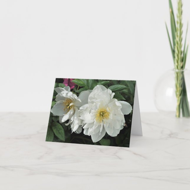 Cartão De Notas Brancos (Frente)