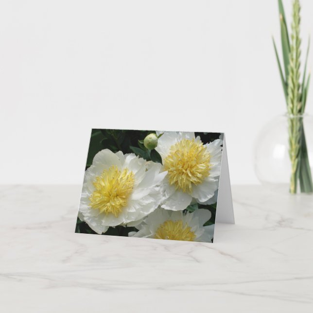 Cartão De Notas Brancos (Frente)