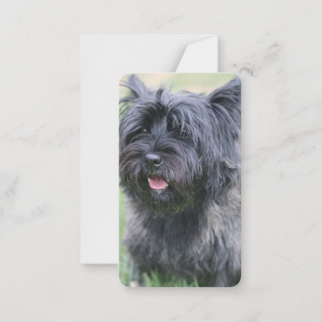 Cartão De Notas Cairn (Frente)