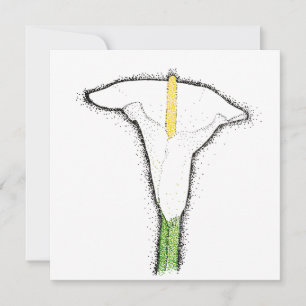 Cartão De Notas Calla Lily