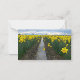 Cartão De Notas Campo Daffodil