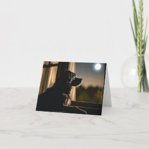 Cartão De Notas Canina Na Janela