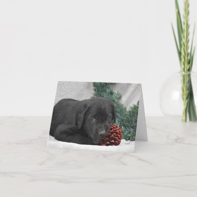 Cartão De Notas Cãozinho Labrador com coroa de Natal (Frente)