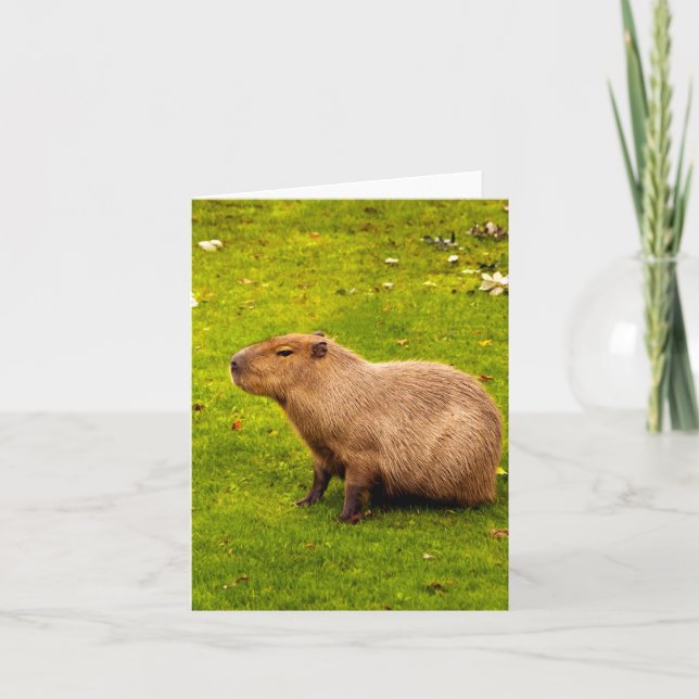 Cartão De Notas Capivara (Frente)