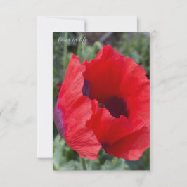 Cartão De Notas Cápsula de ópio vermelho e púrpura