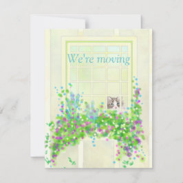 Cartão De Notas Cat na janela Nova placa de nota plana de endereço