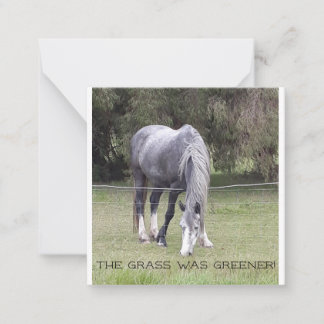 Cartão De Notas Cavalo na cerca!
