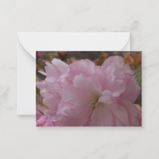 Cartão De Notas Cherry Blossom Sympathy Card